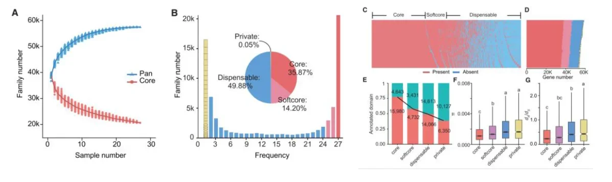 基于迭代组装的泛基因组分析