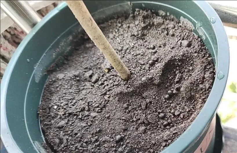 再说毒营养土和工业废土，看图学鉴别