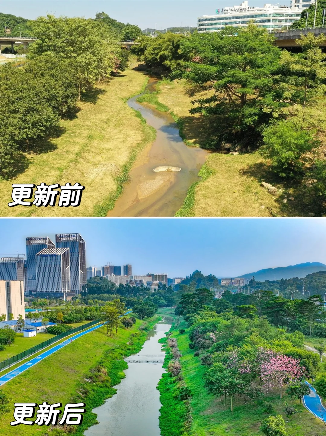 从劣五类水到幸福之河！广州黄埔南岗河更新
