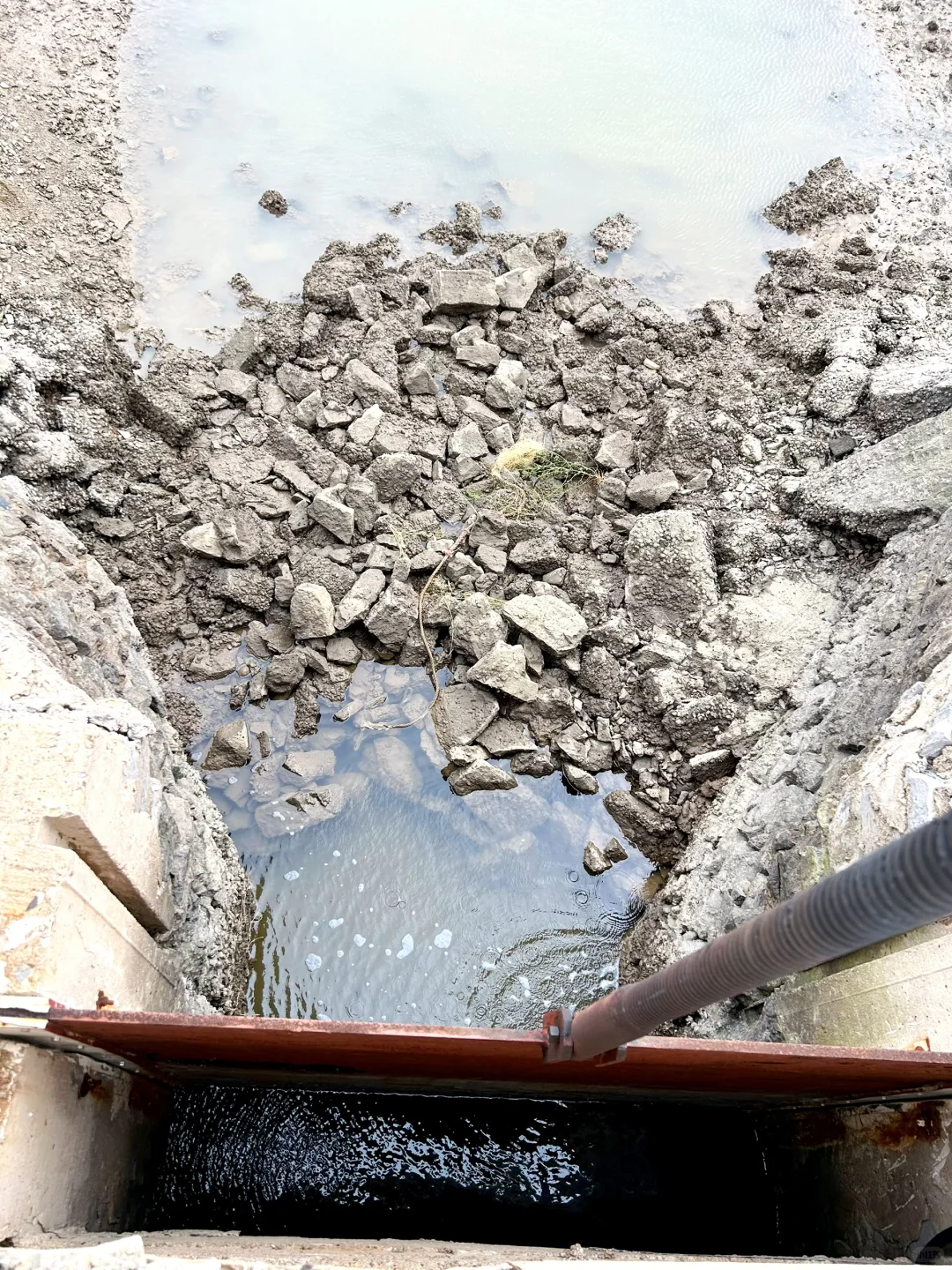 ✨ 大连海参人工养殖基地