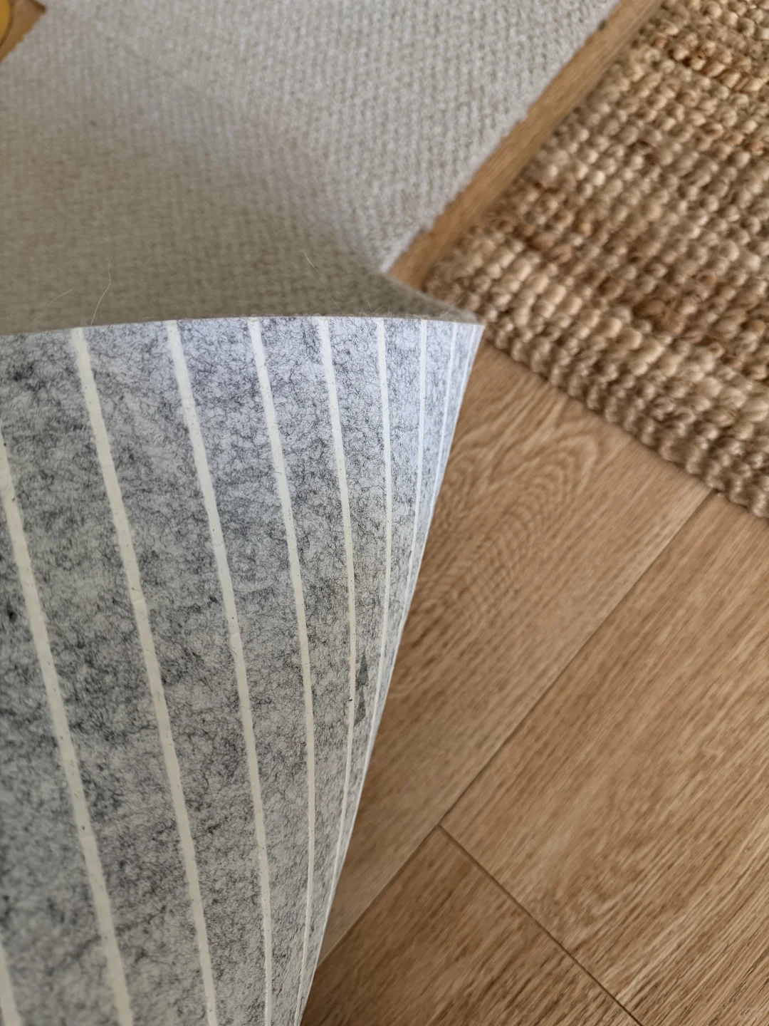 老年犬家庭适老化改造（下）｜防滑和睡眠