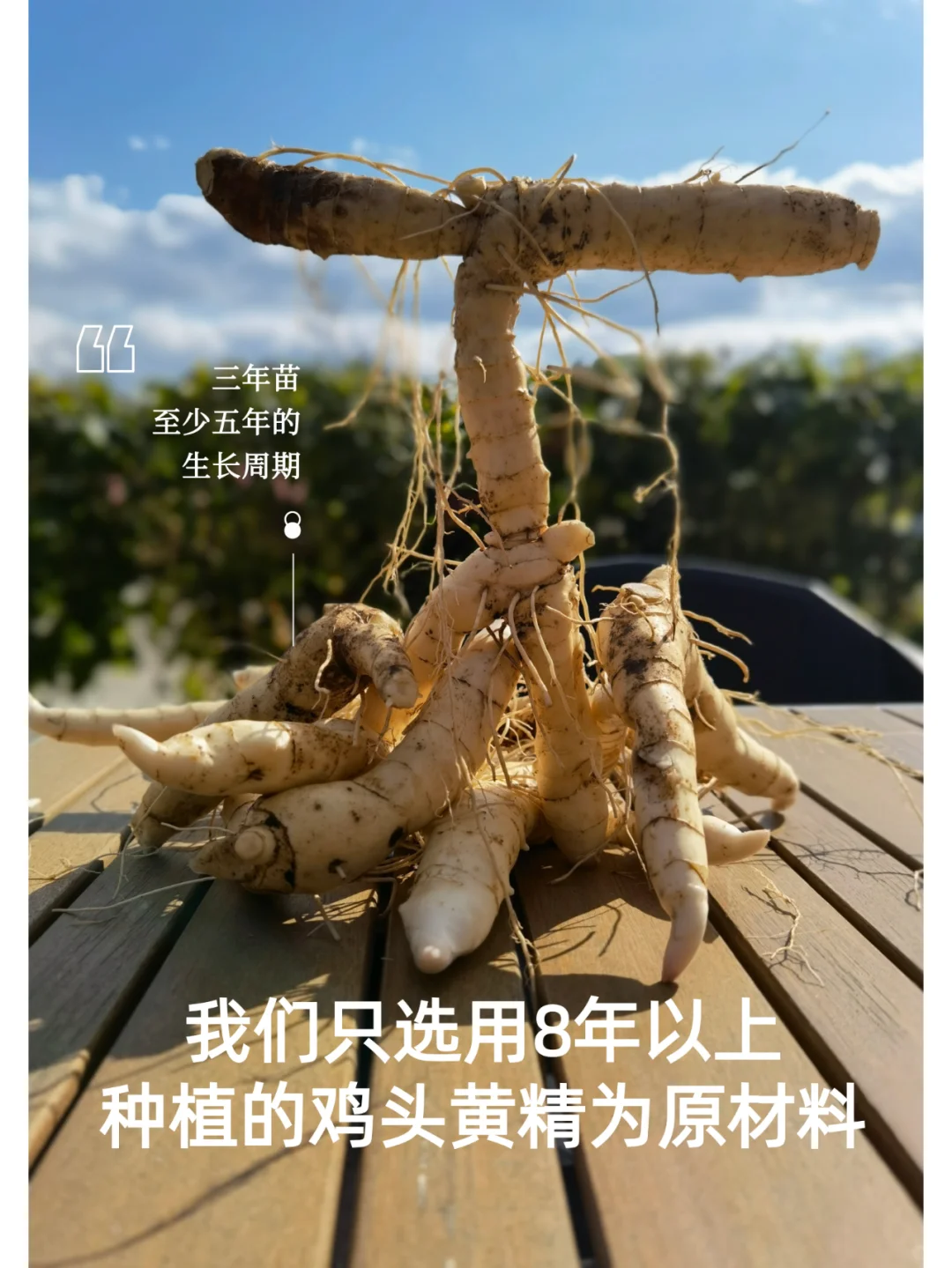 官宣！天问山正式入驻小红书啦！