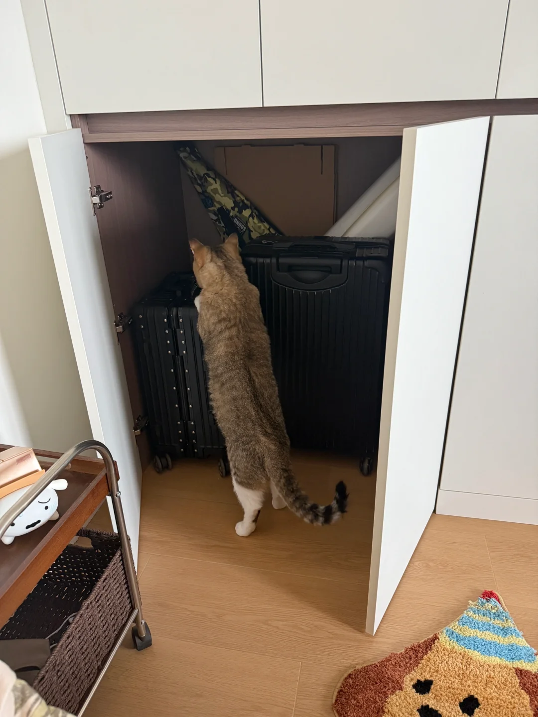 我家衣柜这颜值比例绝了!(附尺寸版)