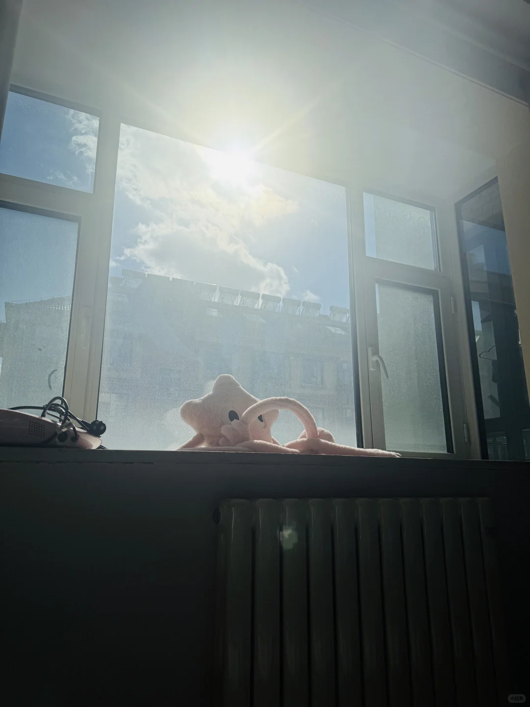 维生素D只有10.6 怎么补