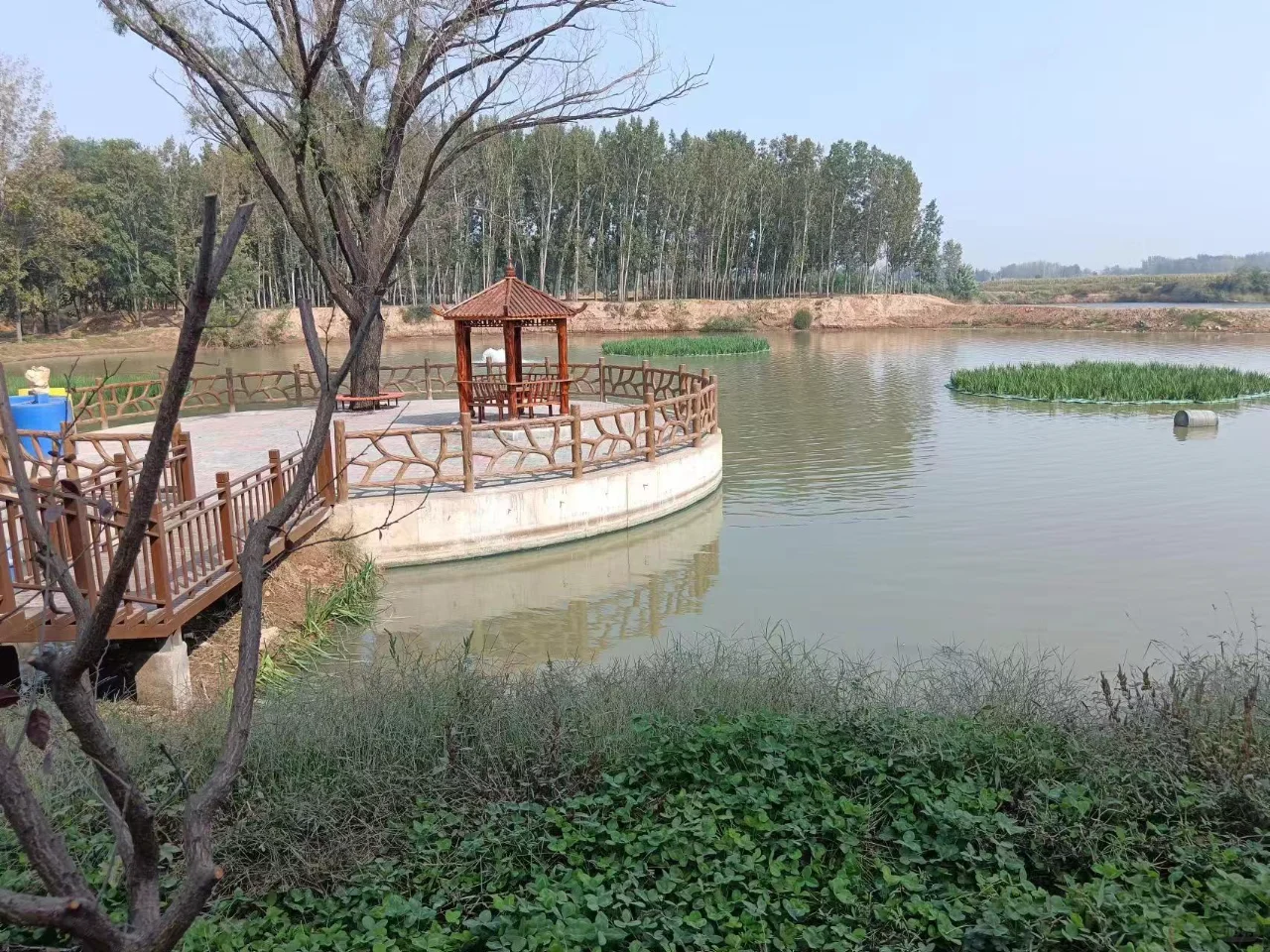 黑臭水体治理内幕：哪些技术只是烧钱的噱头