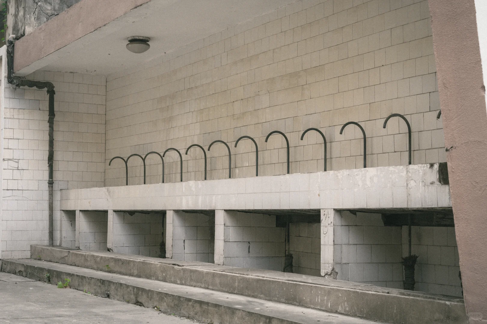 残骸与新生，大自然改造了废弃工厂