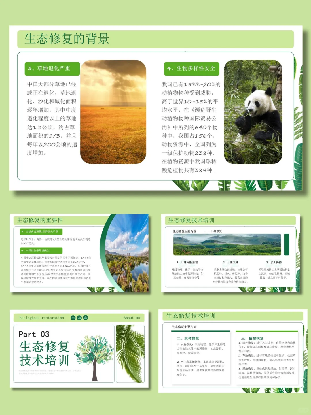 【369】绿色生态修复培训ppt