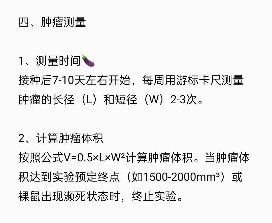 裸鼠成瘤实验流程