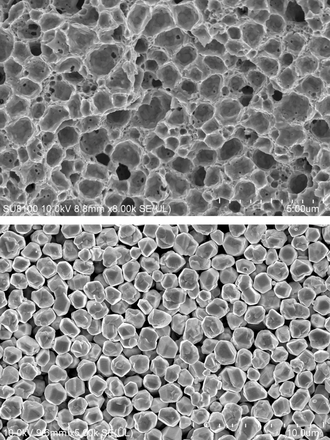 你的样品又双叒翻车了吗？SEM制样避坑指南
