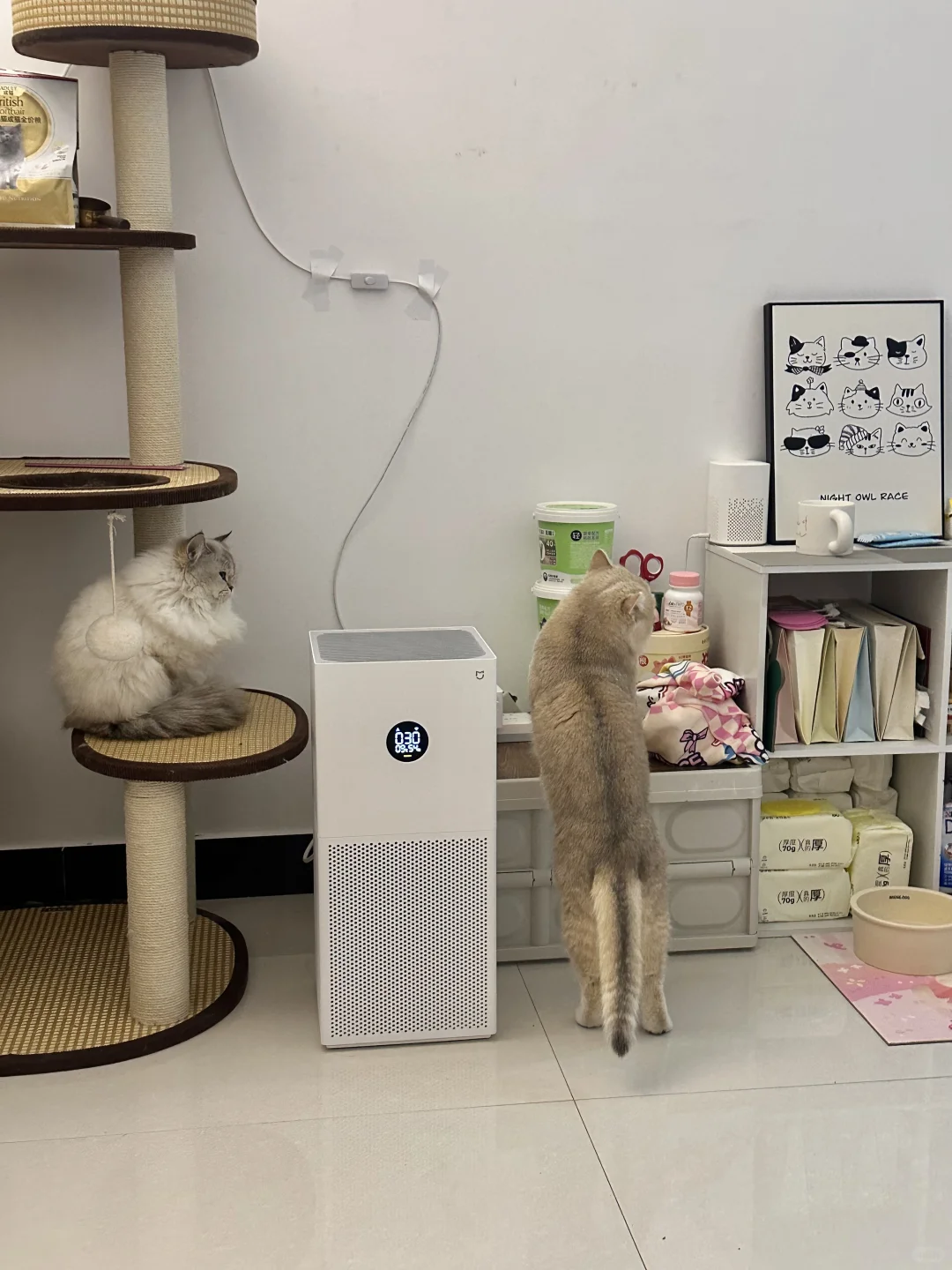 真的没有烟味了