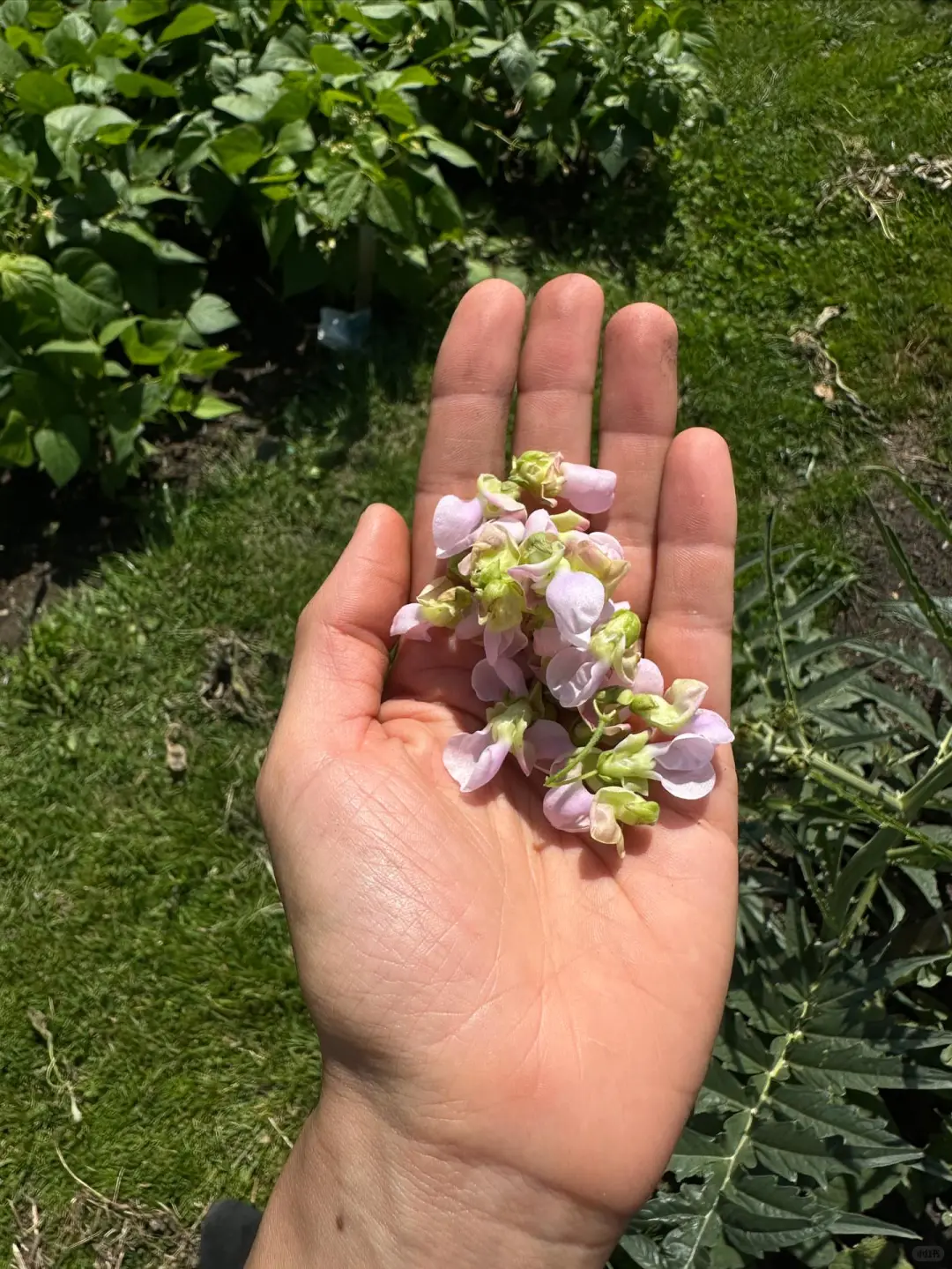 这是我们对土地的回应！