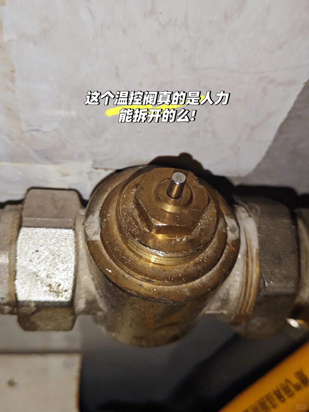 谁能看懂这个温控阀呀～