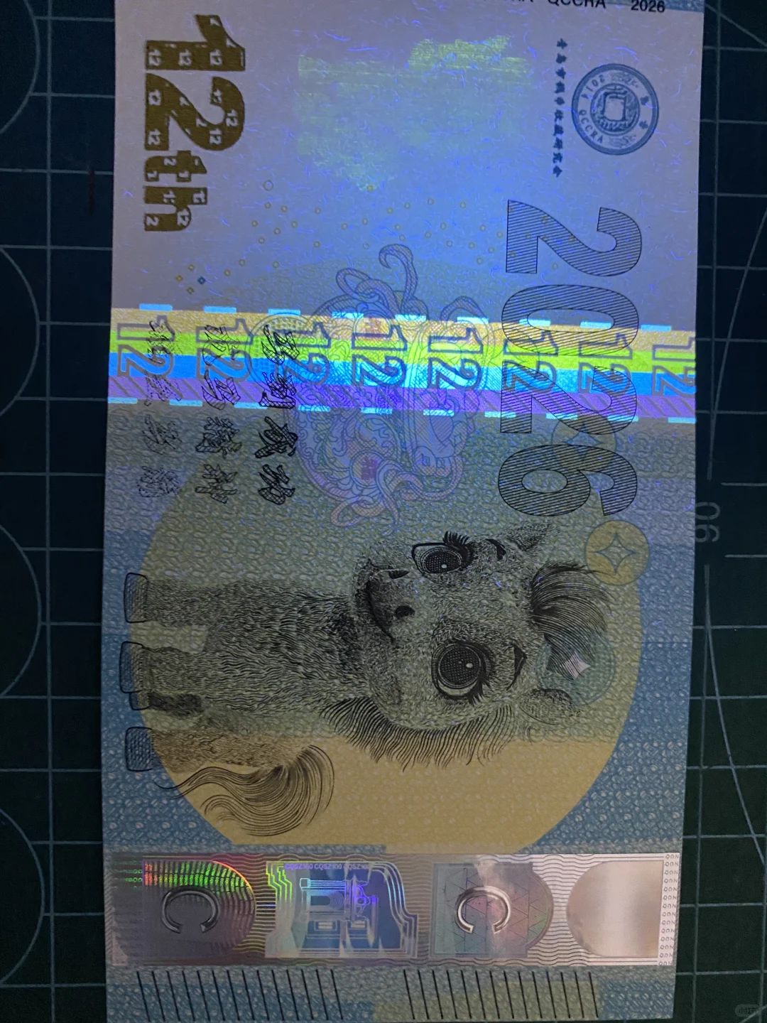 马到成功纪念券