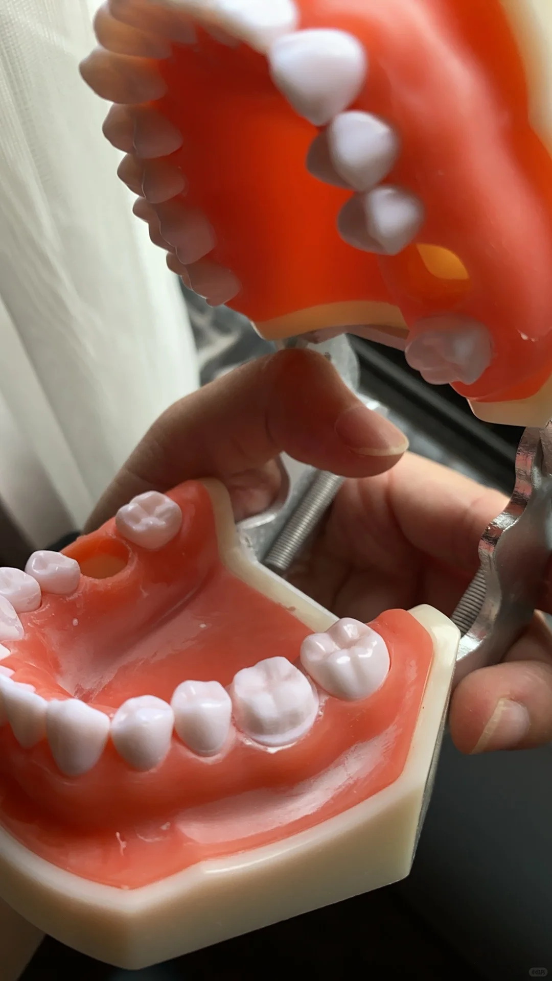 关于我的执业医口腔技能在家练习自用工具