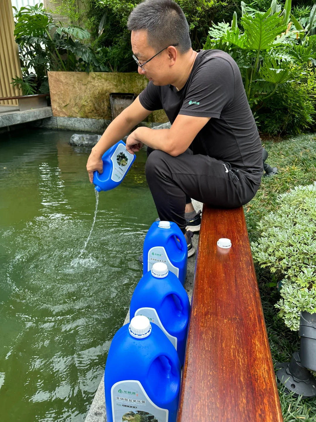 鱼池水质不好，用氧化菌修复，观察水色变化！