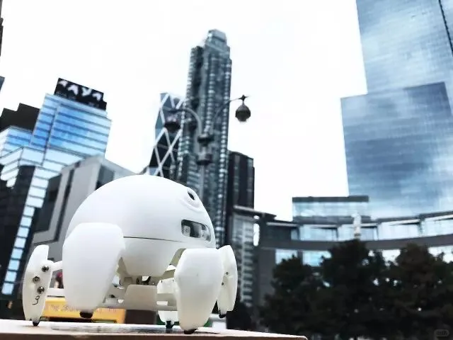 机器人/AI玩具/具身智能/有问必答!