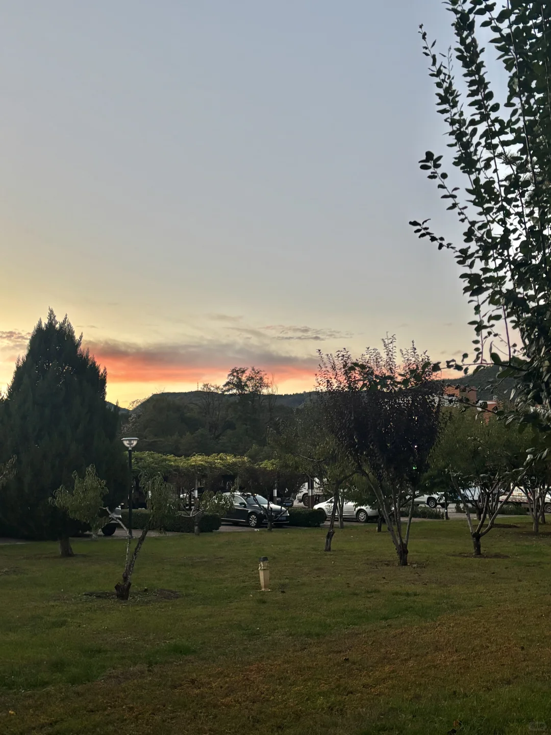 维生素D最充足的一集