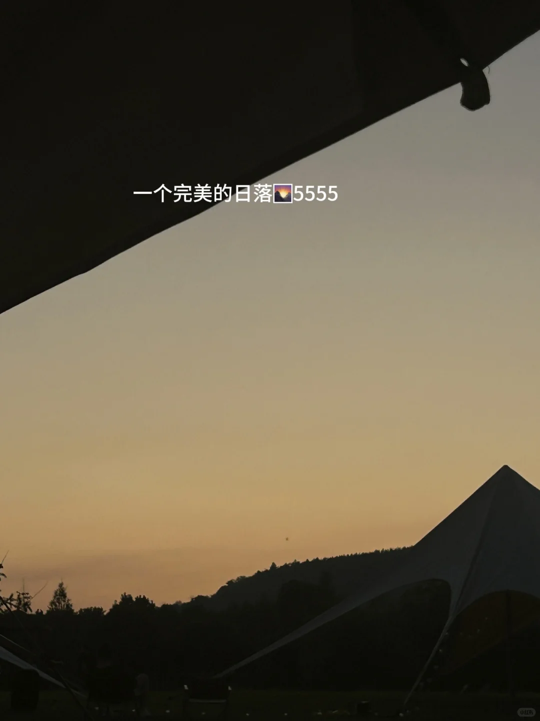 巨?的无痛管理食欲大法