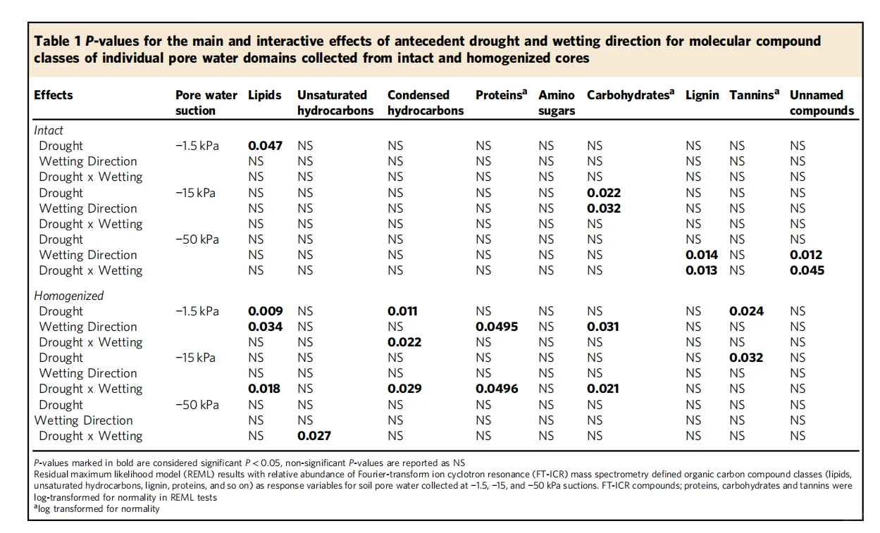 干旱及其后土壤碳(C)动态