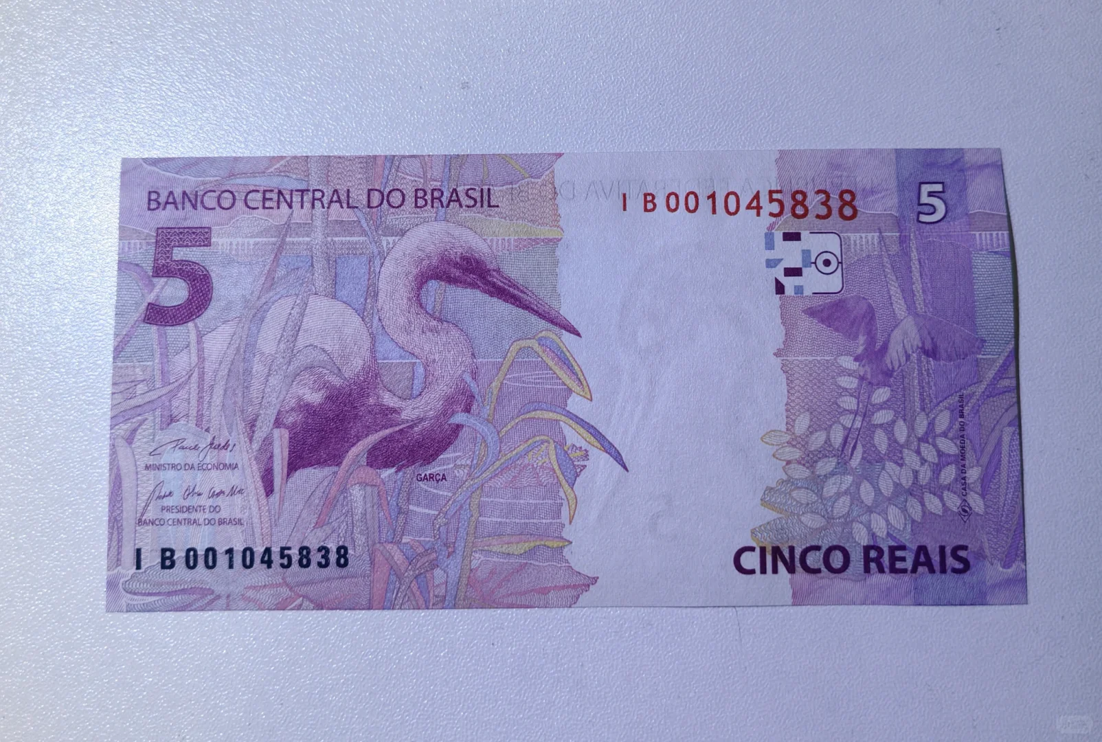 每日一钞：巴西5雷亚尔纸币