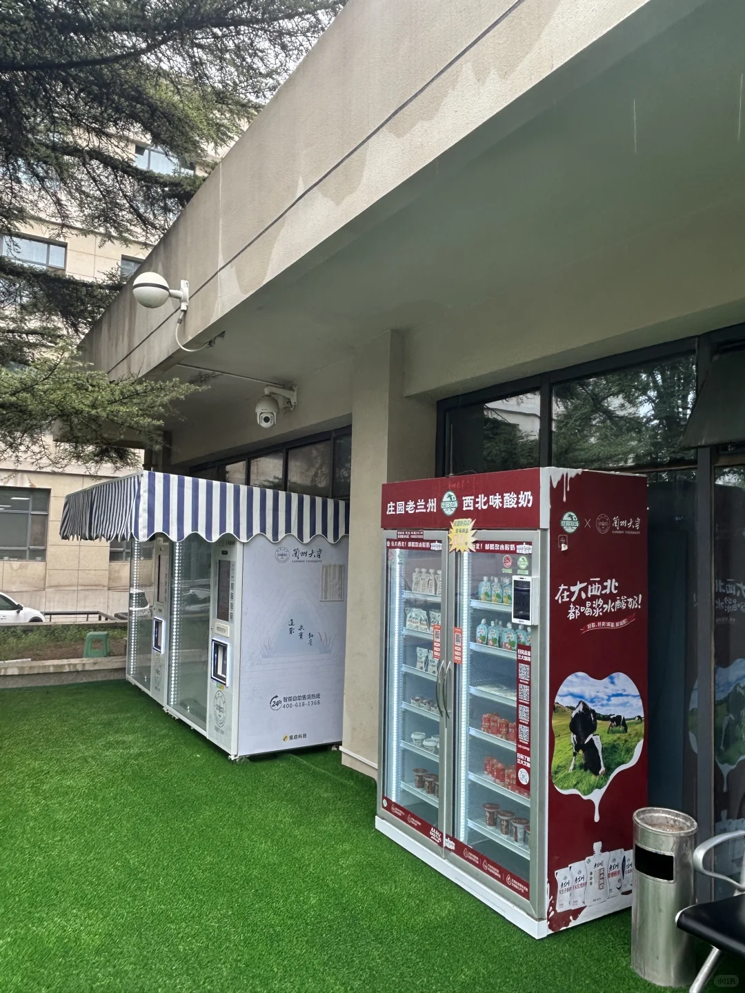 甘肃兰州|知名品牌起源地(4)庄园牧场