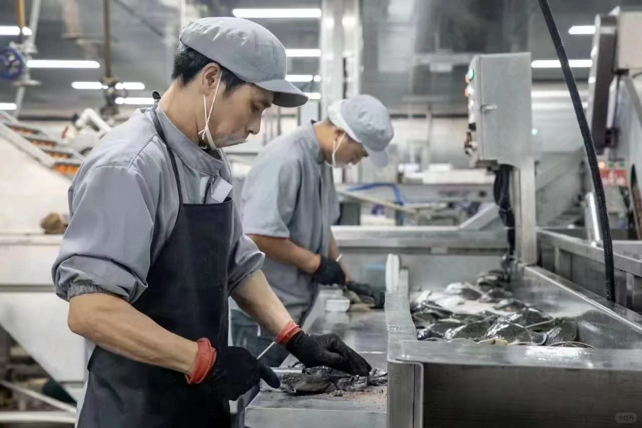 【?南丰甲鱼源头直供！工厂实拍敢透明！