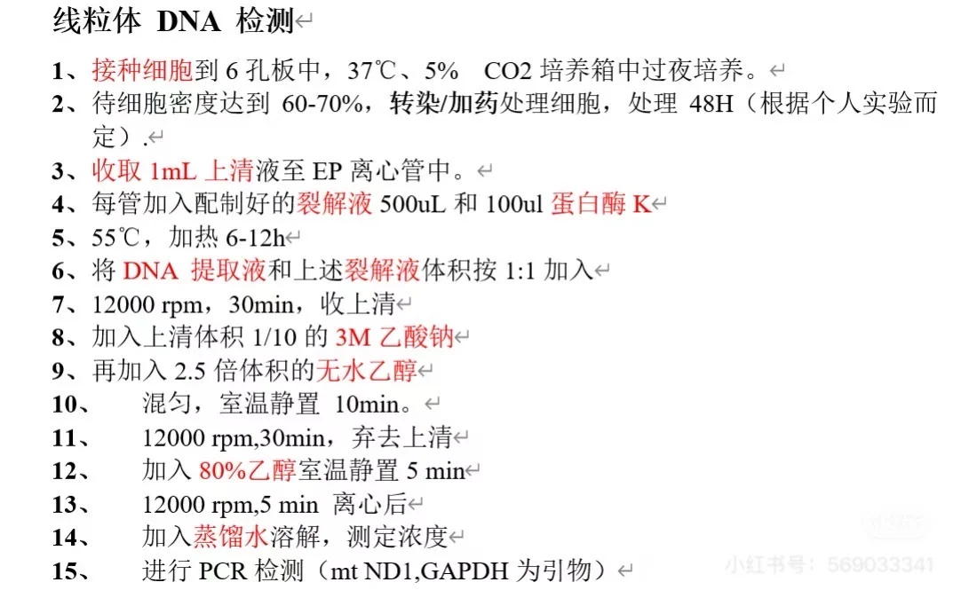 线粒体DNA拷贝数检测protocol详解✅