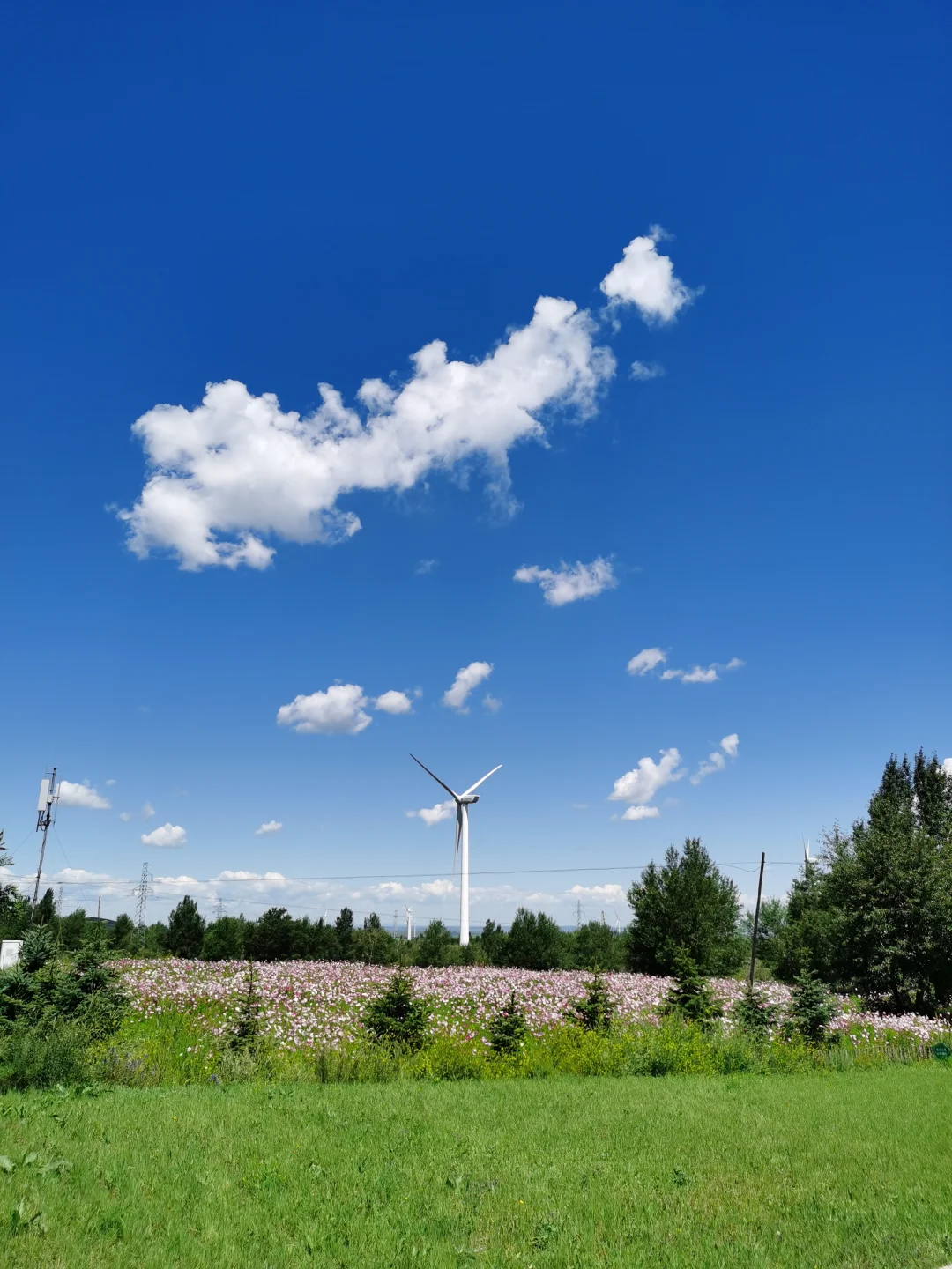 中国节能环保集团