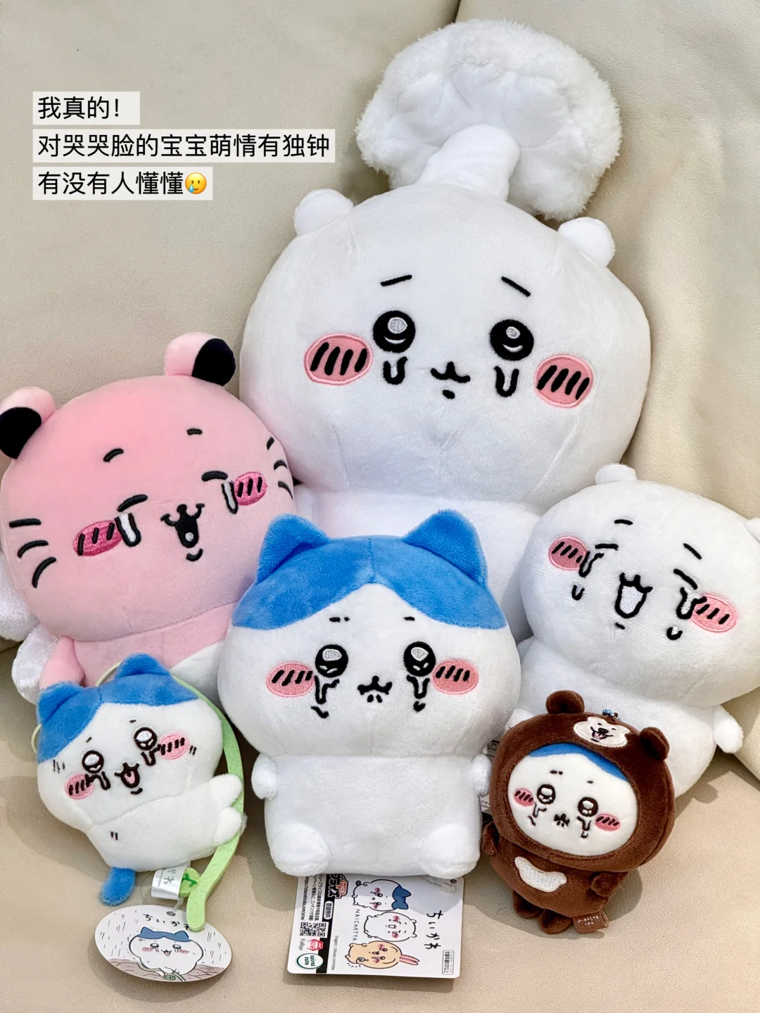 入坑chiikawa俩月买了200多个?谁来管管我