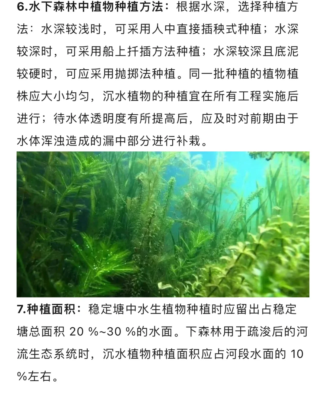 水生态修复植物种植方法与养护技术…
