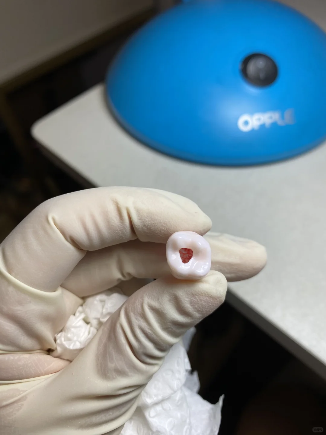 关于我的执业医口腔技能在家练习自用工具