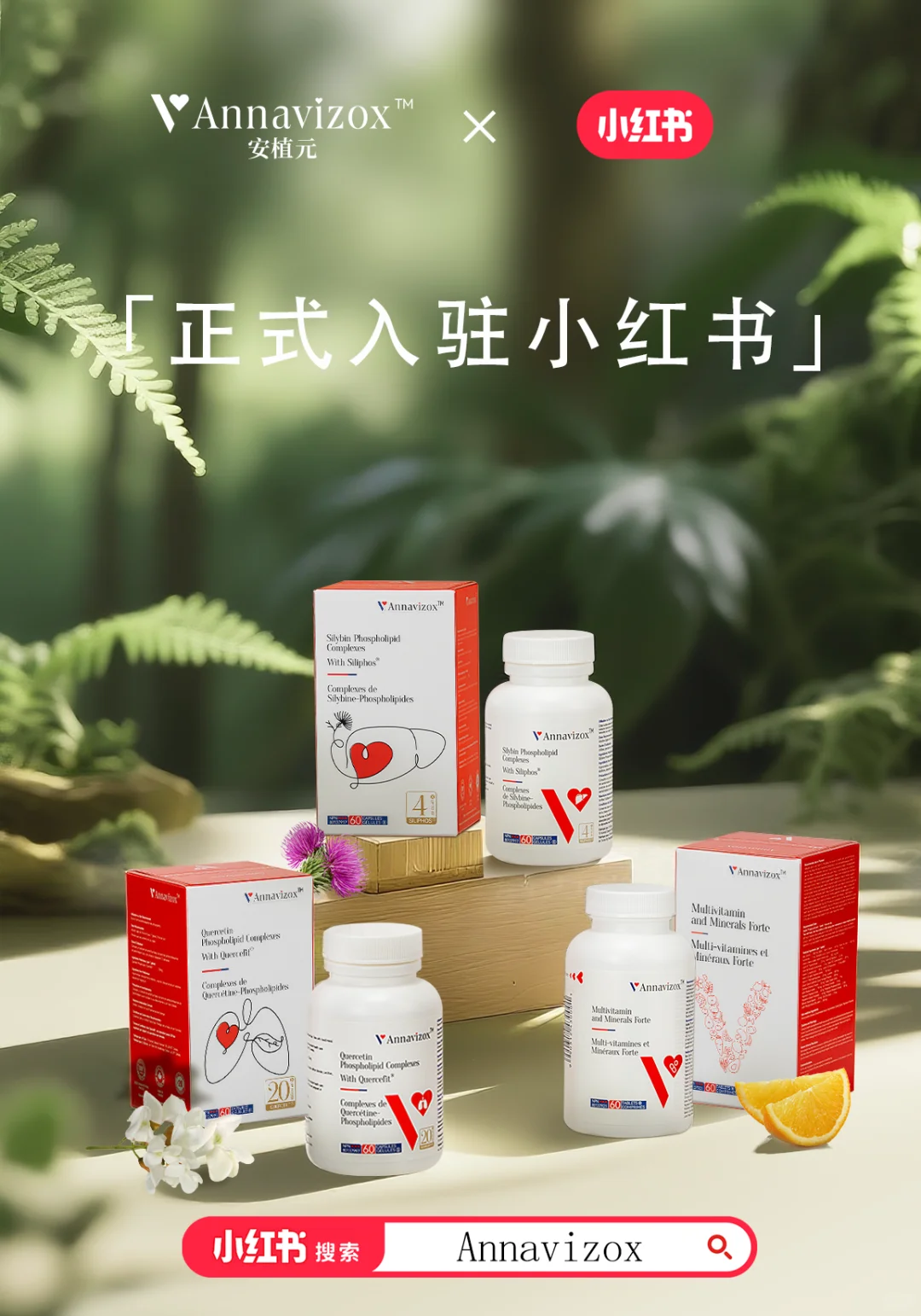 ?初次见面~Annavizox正式入驻小红书啦！