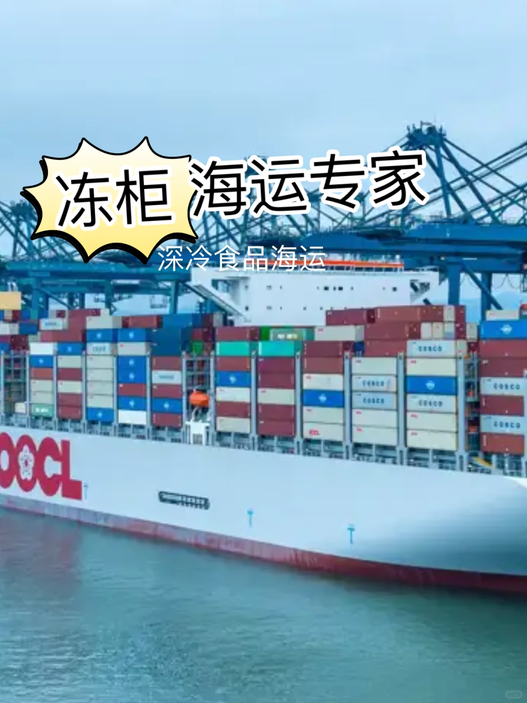 冷冻产品海运须知