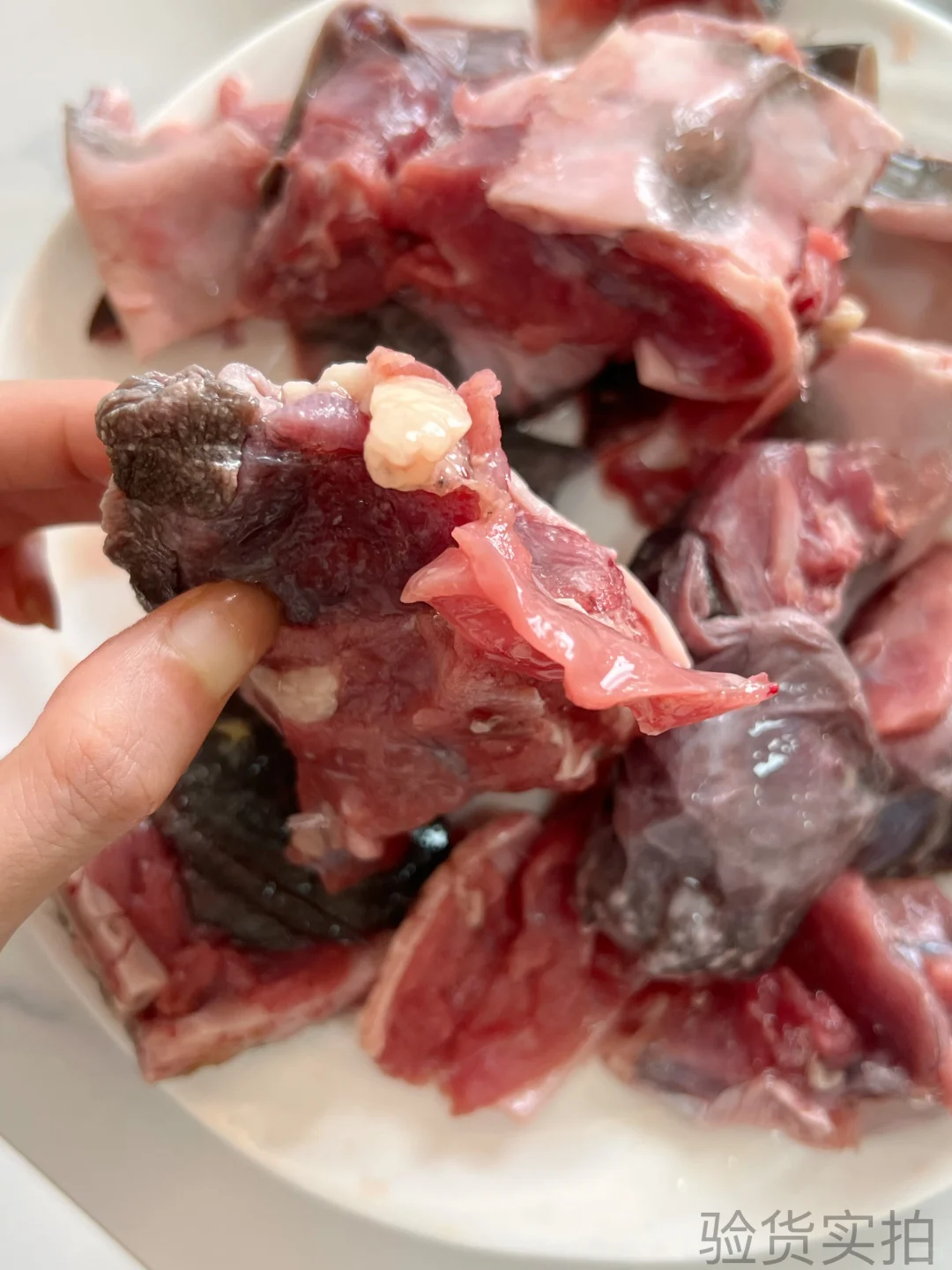 【?南丰甲鱼源头直供！工厂实拍敢透明！