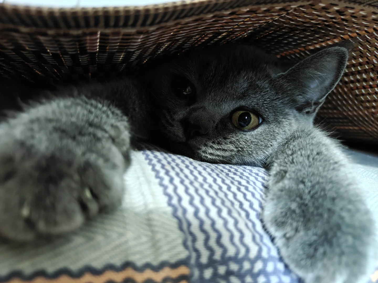 聚焦土壤污染地块