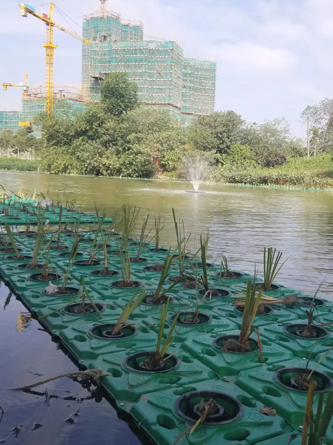 河道治理不踩坑！水质问题对症下药指南