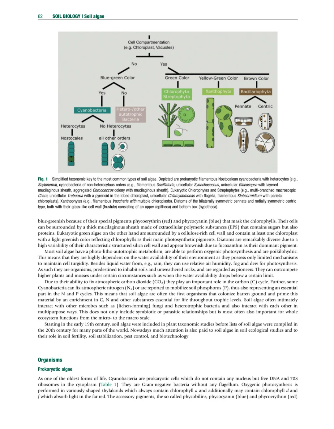 环境土壤学百科全书 第二版