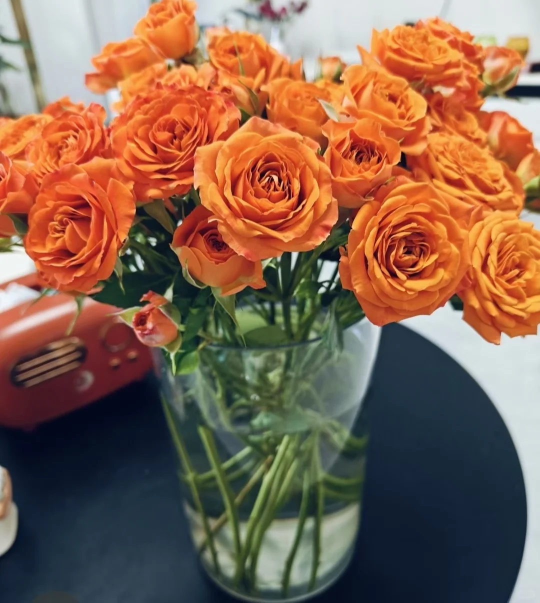 独居自用3年以上提升幸福感的家居好物 无广