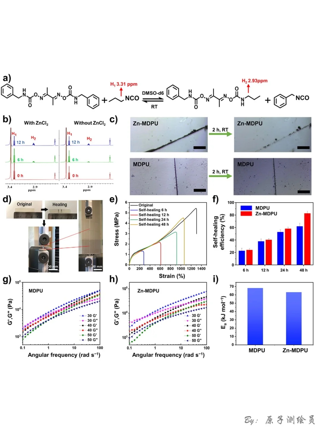 AM：“一石五鸟”的Zn-MDPU弹性体