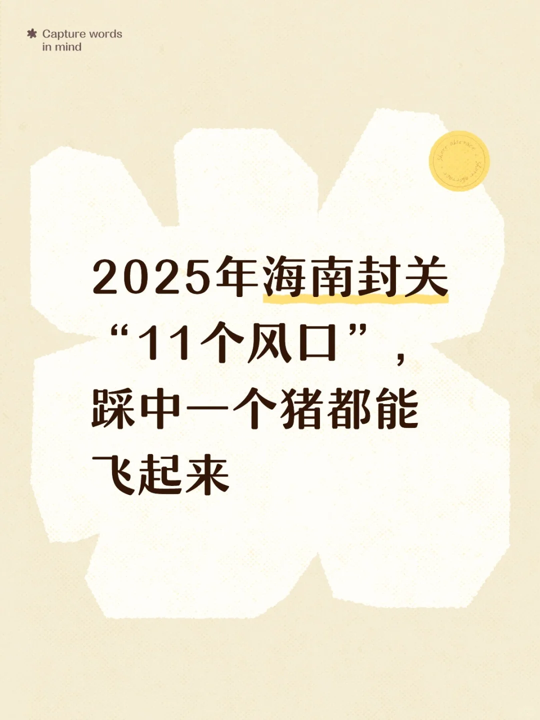 站在风口上,猪都能飞起来…