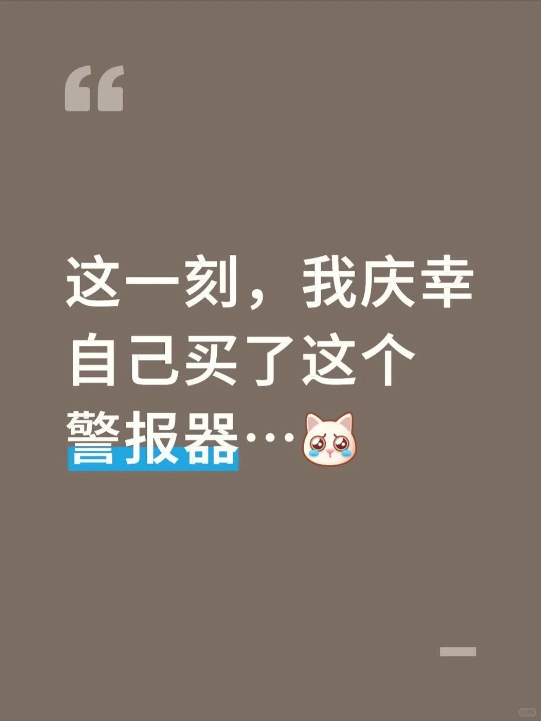 这一刻…我庆幸自己买了这个警报器!