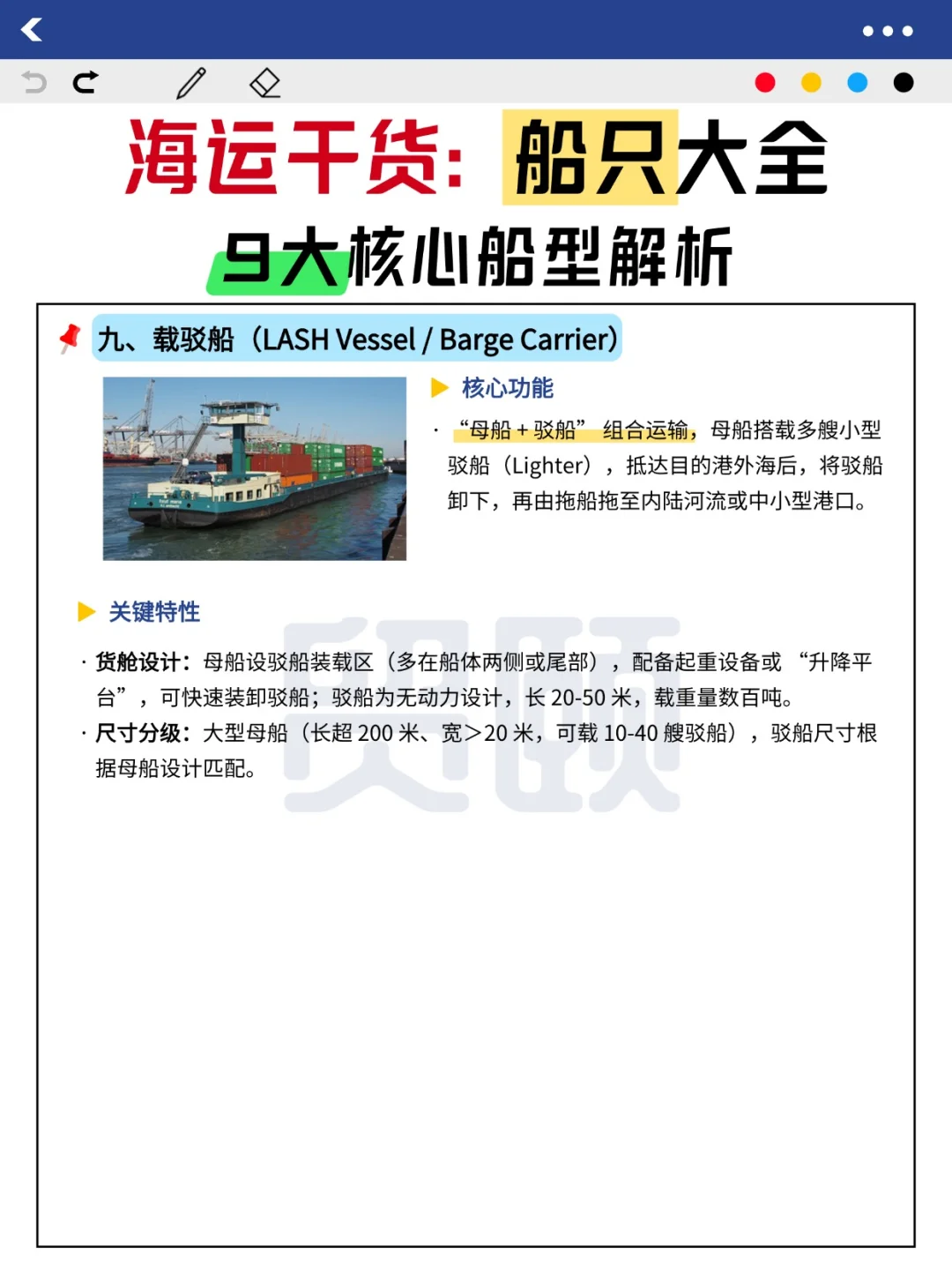 海运船只大全：9 大核心船型解析