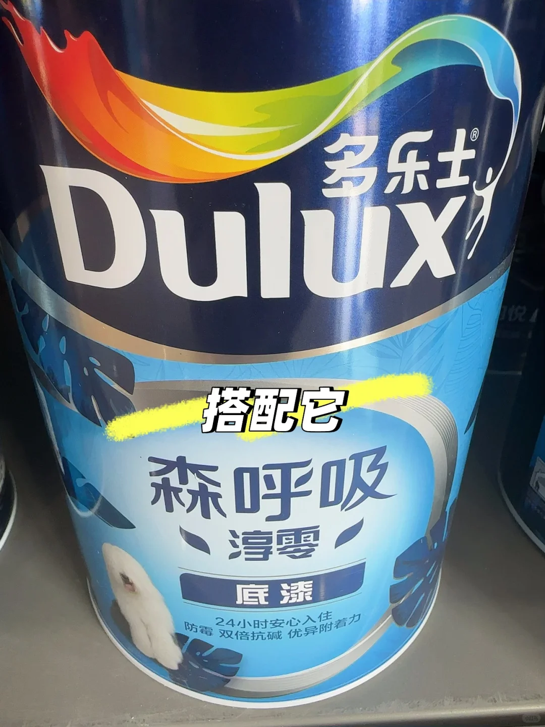 森呼吸淳零：硅藻抗菌双效抗甲醛