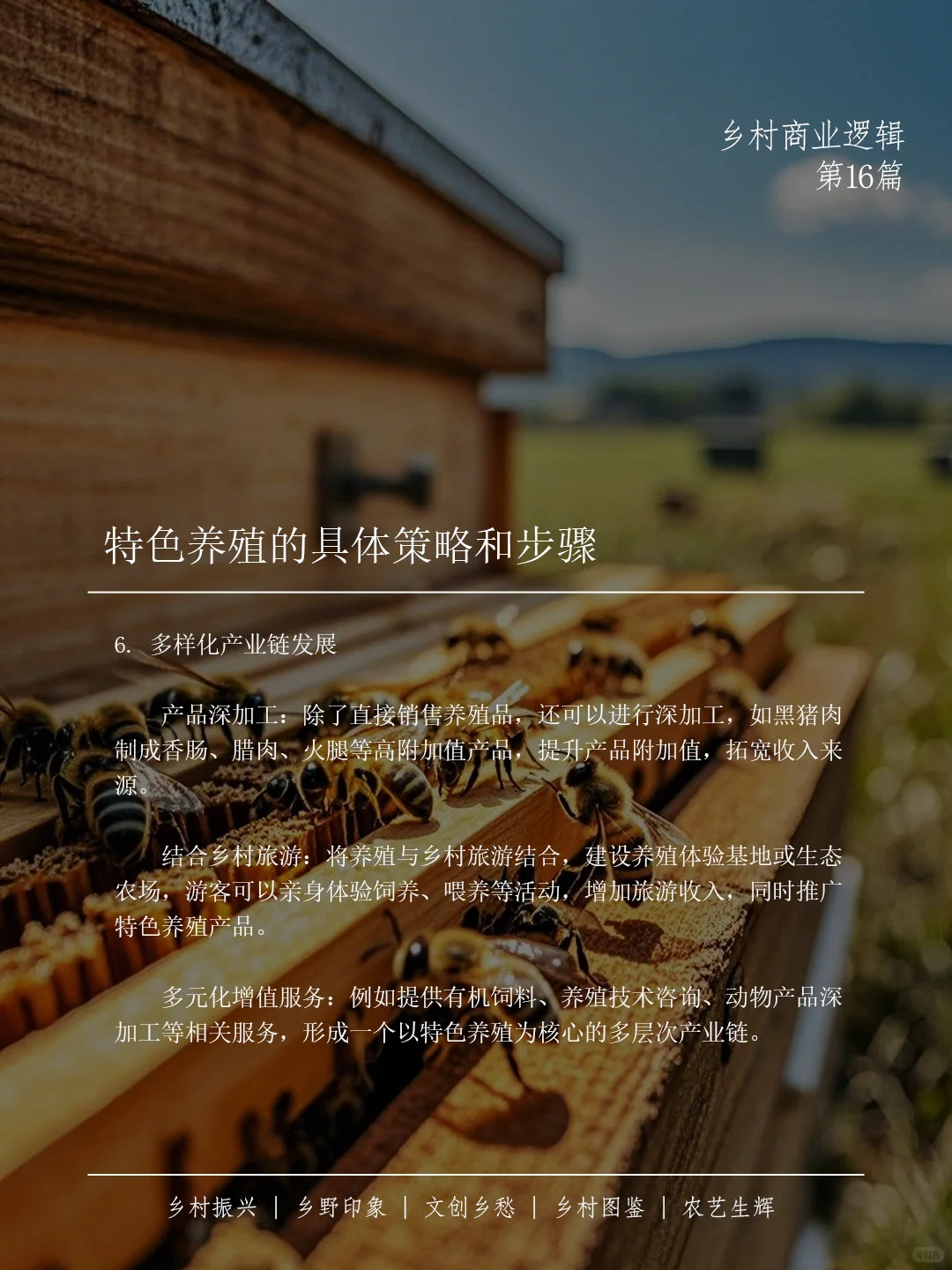 ? 特色养殖产业如何助力乡村振兴??