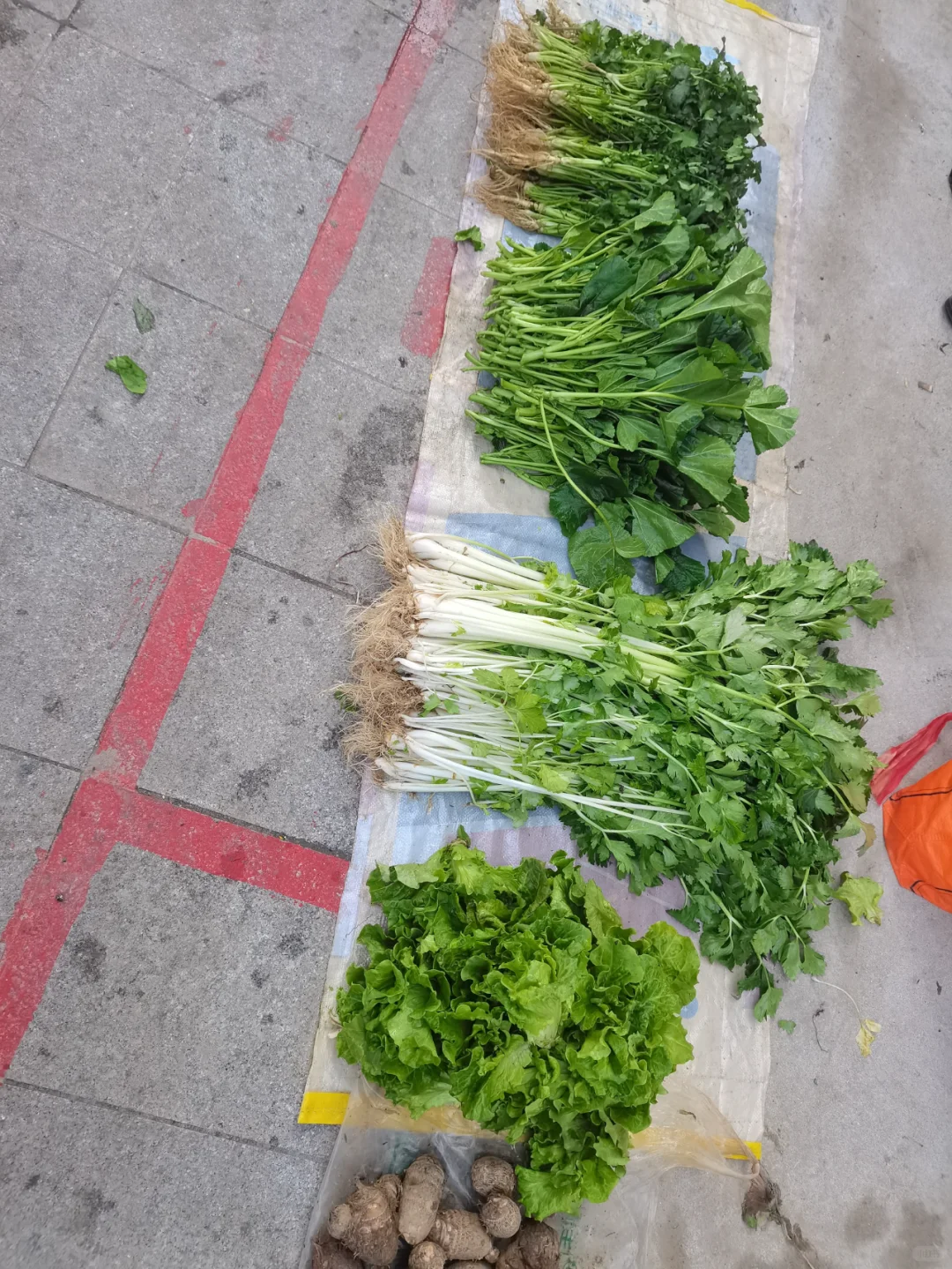 自家种的土菜，养的土鸡根本吃不完