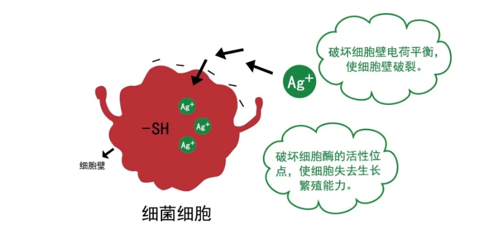 Ouxlu•奥斯罗｜银离子抗菌涂料