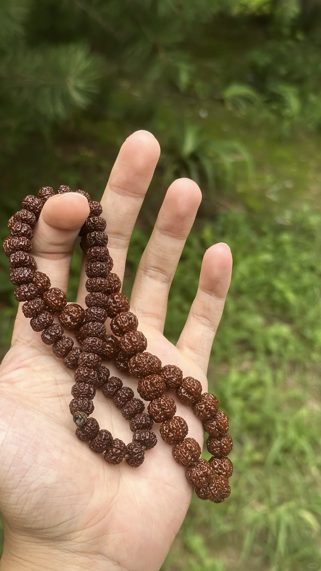 别再乱玩你的小金刚了，来看看我怎么说❗️