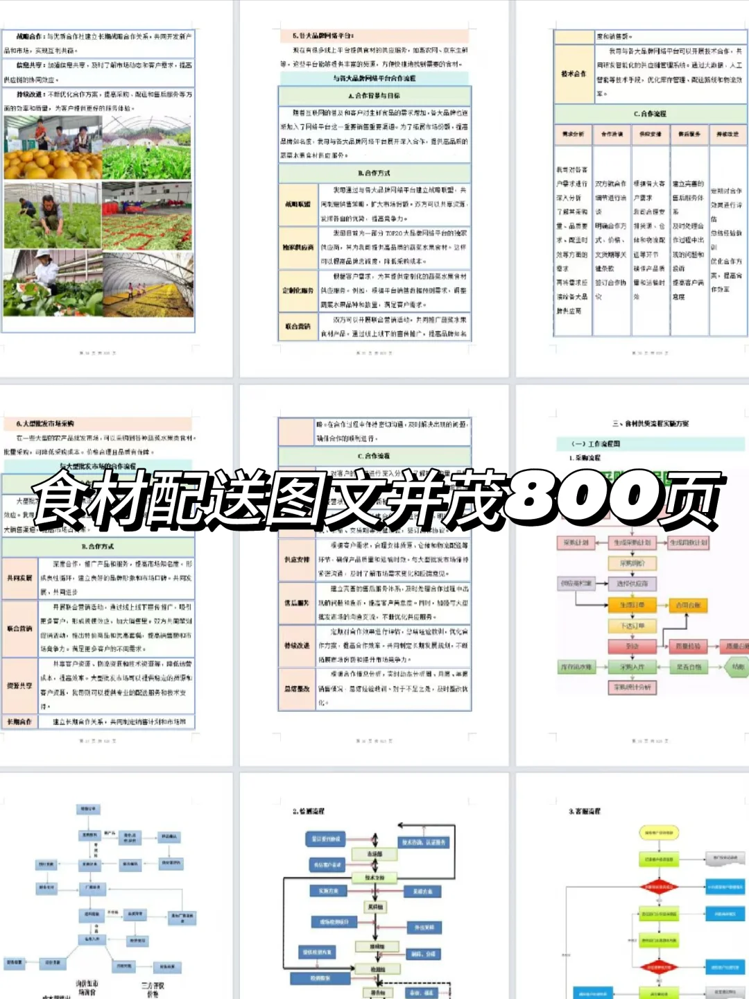 2025年度食材配送图文并茂投标方案800页