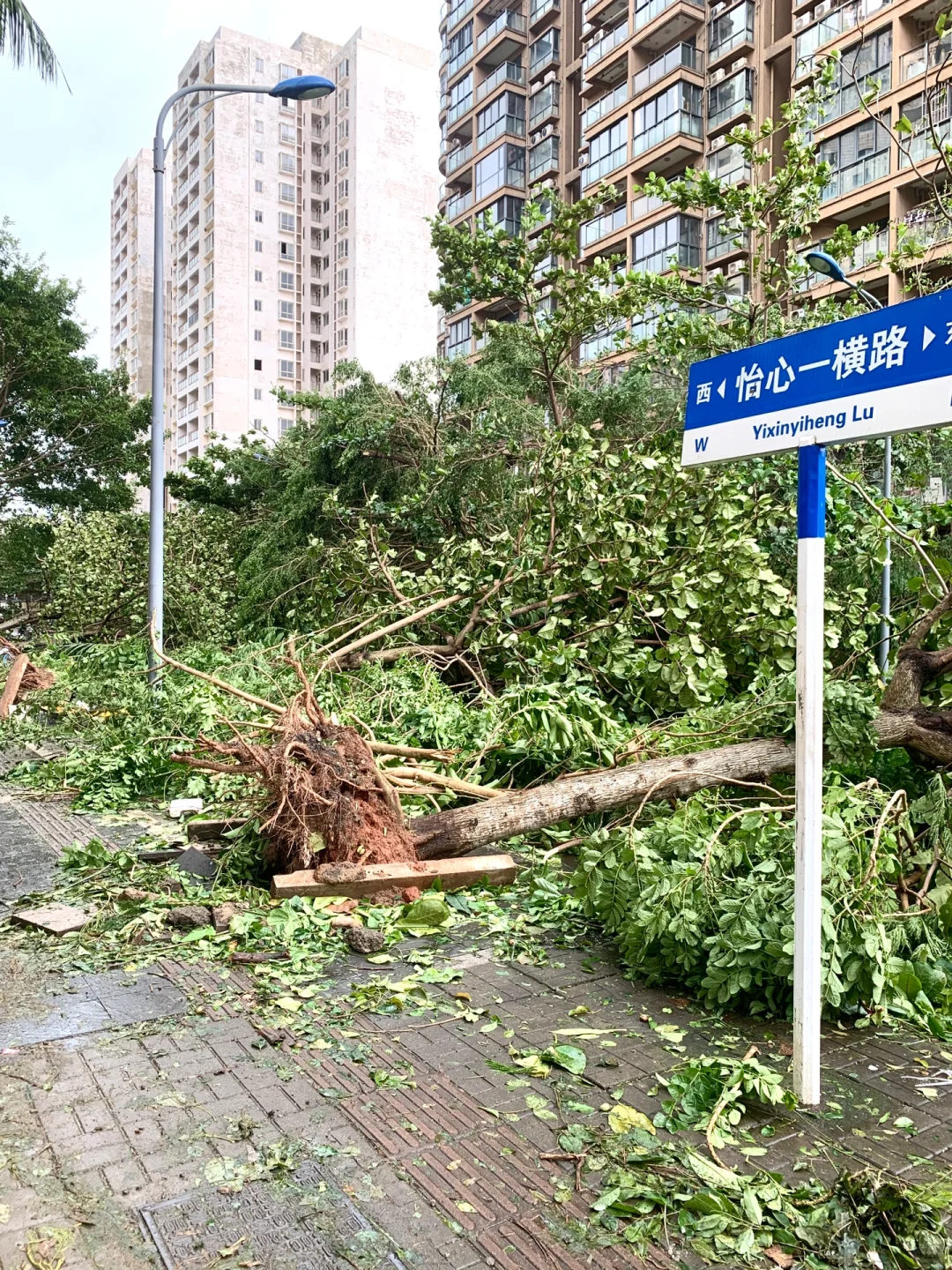 台风“摩羯”后的家?｜断桥铝门窗的重要性