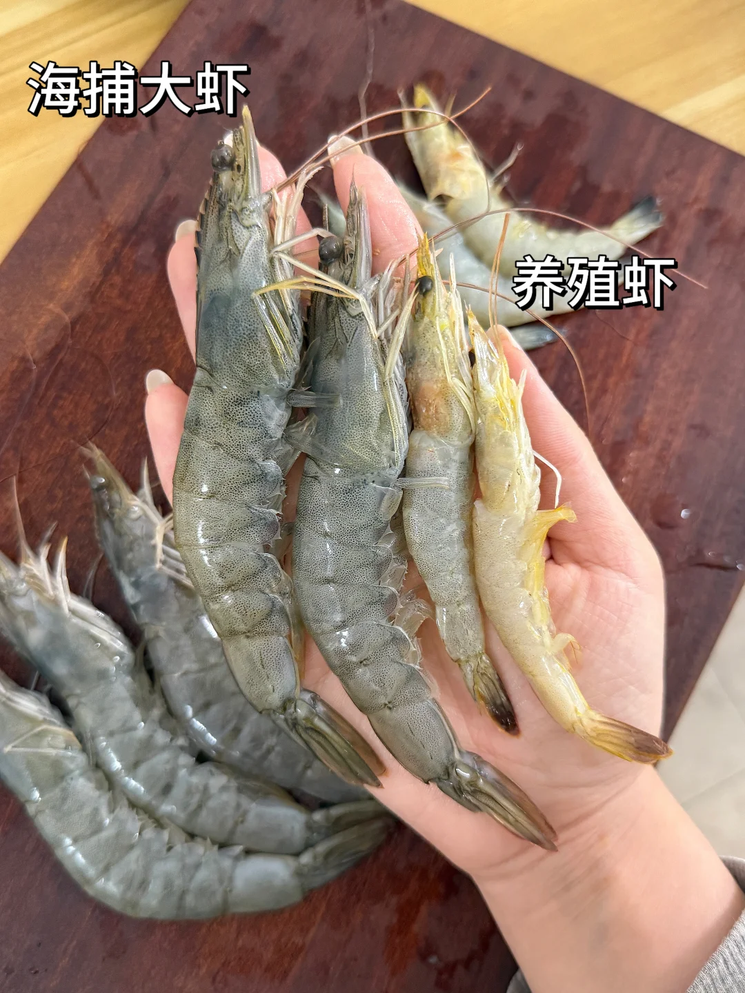 算了不劝了，冻虾真的比活虾更新鲜...